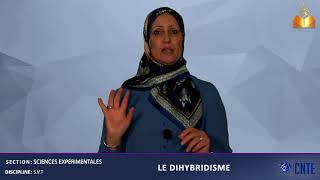 Section Sciences Expérimentales SVT Dihybridisme [upl. by Ahsiem]