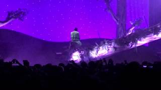 Tyler The Creator  Garden ShedWho Dat BoyNovemberGlitter LIVE in Detroit [upl. by Anabahs]