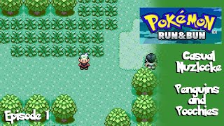 Penguins and Poochies  Run and Bun Casual Nuzlocke  Thezalbee Plays [upl. by Niple]