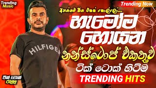 2024 New Sinhala Songs  හැමෝම හොයන  Trending Nonstop Collection 2024  Best Songs Nonstop [upl. by Sirtemed535]