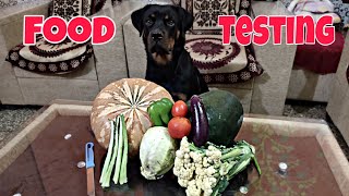 ASMR Rottweiler Reviewing Food  Vegetables Vs Dog Food  Rottweiler [upl. by Tedi]