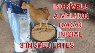 A MELHOR RAÇÃO INICIAL PARA PINTINHOS  APENAS 3 INGREDIENTES ELES VÃO BOMBAR DE TANTO QUE CRESCEM [upl. by Martz]