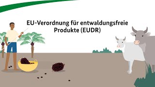 EUVerordnung für entwaldungsfreie Produkte EUDR [upl. by Ammadis]