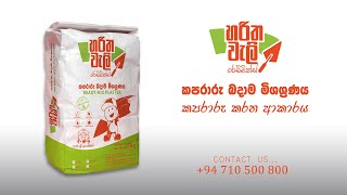 How to Apply Harithaweli Plaster Mortar  කපරාරු කරන ආකාරය [upl. by Viki699]