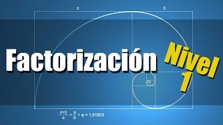 Factorización  Ejercicios Resueltos Nivel 1 [upl. by Neeloj]