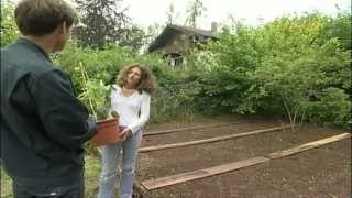 Gartentipps Beet anlegen ein Bauernbeet selbst gemacht [upl. by Hagerman]