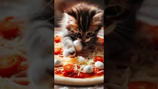 Cat cooking 😋 aicatstories cat cute catlover [upl. by Otreblon]