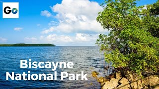 Biscayne National Park in South Florida [upl. by Ttenrag408]