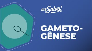 Gametogênese  Embriologia  Me Salva Saúde [upl. by Kikelia675]