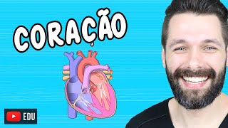 ANATOMIA DO CORAÇÃO  Fisiologia Cardíaca  Biologia com Samuel Cunha [upl. by Welsh239]