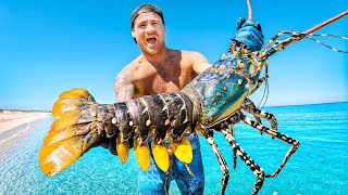 Catching Giant Lobsters For Food On Remote Island [upl. by Wadell]