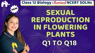 Sexual Reproduction in Flowering Plants Class 12 Biology Revised NCERT Bio Chapter 1 Questions 118 [upl. by Kyte]