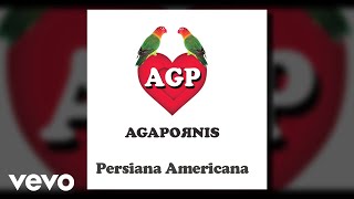 Agapornis  Persiana Americana Pseudo Video [upl. by Giffy]