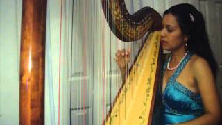 Un Vals Para Soñar  A Waltz for Dreaming  Latin Harp Music Harp Enchants [upl. by Awram]