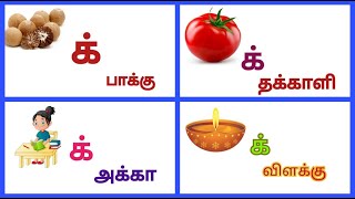 தமிழ்  மெய் எழுத்துக்கள்  quot க் quot  Consonants Words in Tamil for Kids  Kidz Doo [upl. by Ceevah937]