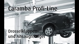 Caramba ProfiLine Drosselklappenreiniger und Ansaugreiniger [upl. by Schreib]