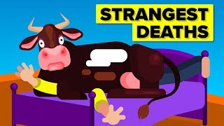 Strangest Ways People Died [upl. by Boykins728]