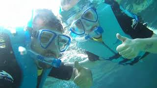 Snorkeling at Discovery Cove  26th May 2022 [upl. by Engel421]