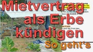 Als Erbe wirksam Mietvertrag kündigen § 564 BGB  So gehts  Mustertext  Immobooksde [upl. by Affrica]