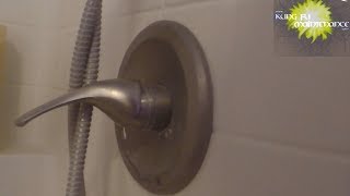 Single Handle Faucet Leaking Shower Valve Repair [upl. by Okire960]