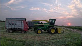 Chopping Triticale With A John Deere 6950 [upl. by Sucirdor]