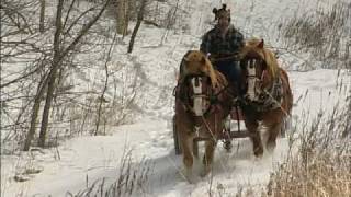 The Modern Horse Loggers of Minnesota [upl. by Bravin]