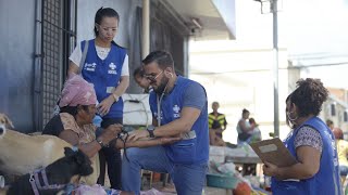 Webdoc Brasil aqui tem SUS  Maceió  AL [upl. by Kurzawa105]