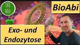 15 Punkte im Abi ExozytoseEndocytose  Transport über Vesikel  Operatoren BewertenBeurteilen [upl. by Alyhs]