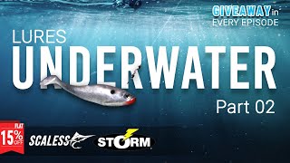 Discover the Best Underwater Lure Action with Opensea Fishing Tackles EP 02 [upl. by Garber]