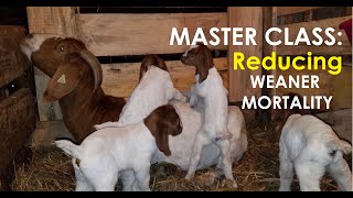 Master Class Goat Weaners and Post weaning Management Big belly does not Mean A fat GoatWorms [upl. by Duffie]