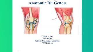 🔴Anatomie  Articulation Du Genou [upl. by Devaney237]