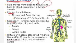 Chapter 11 Video Disorders of Leukocytes [upl. by Earla]