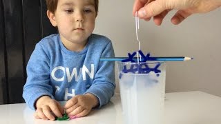 Borax Crystal Snowflake Experiment [upl. by Aidnama468]