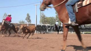 Dualin Pepto amp Drew Stevenson Mitchell Livestock Snaffle Bit Cutting [upl. by Atirabrab]