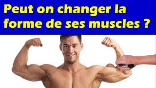 Peut on changer la forme de ses muscles [upl. by Ecaj]