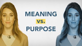 Meaning vs Purpose [upl. by Engeddi]