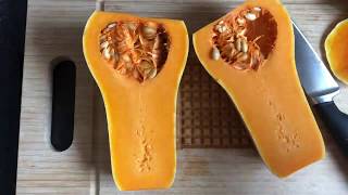 Butternut Squash Puree [upl. by Ellerrehc]