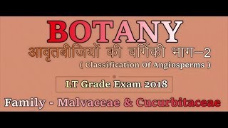 Biology  Botany  Classification Of Angiosperms Part2 Family  Malvaceae amp Cucurbitaceae [upl. by Midge]