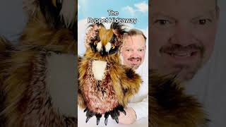 Puppet of the Day– Great Horned Owl made by Folkmanis Puppets –The Puppet Hideaway with Eric Thomsen [upl. by Yelsha]