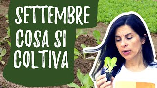 Cosa seminare a SETTEMBRE nellorto [upl. by Yenitsed]