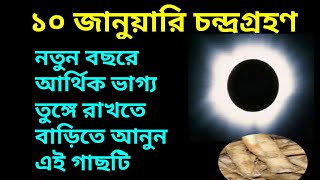 ১০ই জানুয়ারি চন্দ্রগ্রহণ এই দিন বাড়িতে আনুন এই গাছটি অর্থভাগ্য ফিরে যাবে [upl. by Tama248]