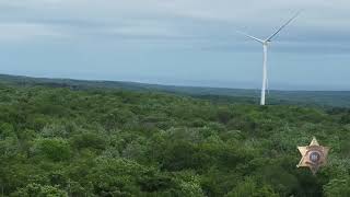 Sheriffs Office Releases Drone Footage of Boutwell Hill State Forest in Yolanda Bindics Case [upl. by Esiocnarf243]