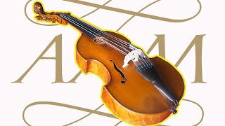 An Introduction to the Viola damore [upl. by O'Rourke784]