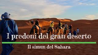 Emilio Salgari  I predoni del gran deserto  7 [upl. by Lednahc143]