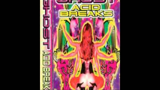 Dj Ghost Acid Breaks 96 [upl. by Ylremik964]