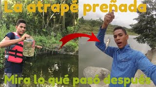 Atrapé una TILAPIA PREÑADA en el Río y esto fue lo qué pasó varios DÍAS DESPUÉS [upl. by Jessamyn242]