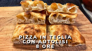 Pizza In Teglia Con 8 Ore Di Maturazione  Autolisi [upl. by Meil331]