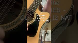 Takamine G SERIES GD30CE  12 NAT [upl. by Dhiren]