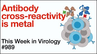 TWiV 989 Antibody crossreactivity is metal [upl. by Mckee]