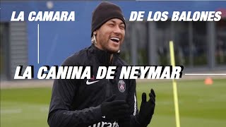 Canina de Neymar La camara de los balones [upl. by Ariamo]